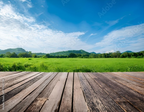 View of a wooden floor and the front green landscape