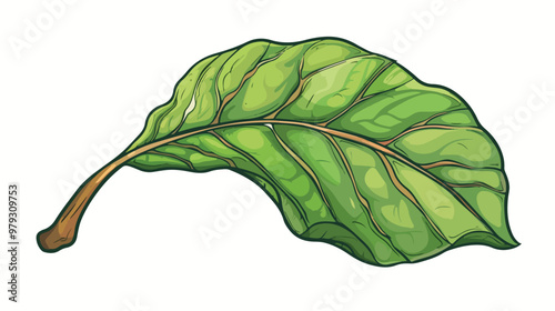 Cartoon Plant Leaf Flat Handdrawn Vector Illustration