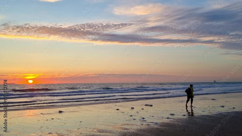 Majestic sunset over a tranquil beach, where gentle waves wash over the shore. a lone surfer, silhouetted against the vibrant sky, adds a touch of adventure to the serene evening scenery. ideal for tr Majestic sunset over a tranquil beach, where gentle waves wash over the shore. a lone surfer, silhouetted against the vibrant sky, adds a touch of adventure to the serene evening scenery. ideal for tr