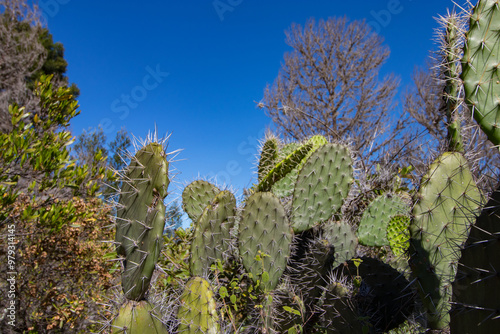 Colombia Villa de Leyva