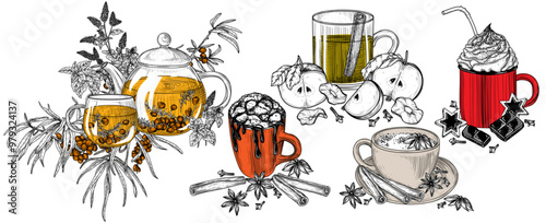 Vector set of 5 autumn drinks. Sea buckthorn tea, marshmallow cocoa, apple cider, spiced tea latte, hot chocolate with cream