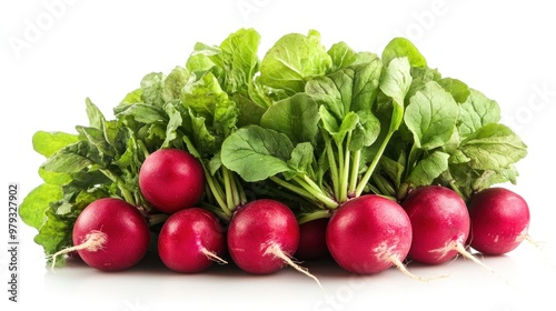 Fresh red radishes with green leaves, ideal for salads and garnishes.