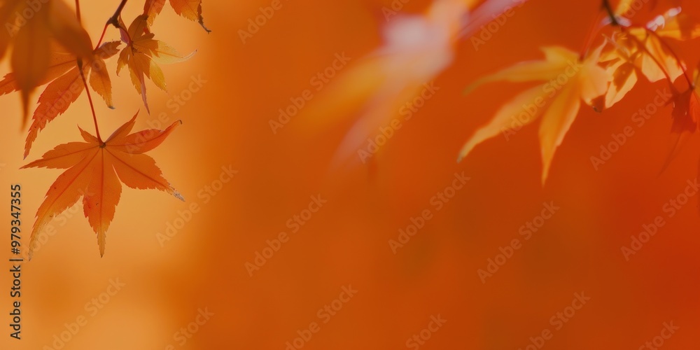 Vibrant autumn leaves background Vibrant autumn leaves background
