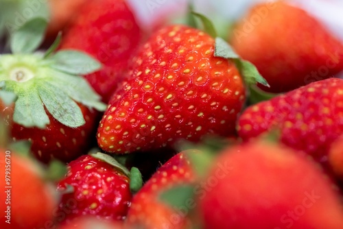 A closeup portrait of a bunch of red delicious and fresh strawberies with the green top in a white bowl. The tasty fruit is ready to be eaten.