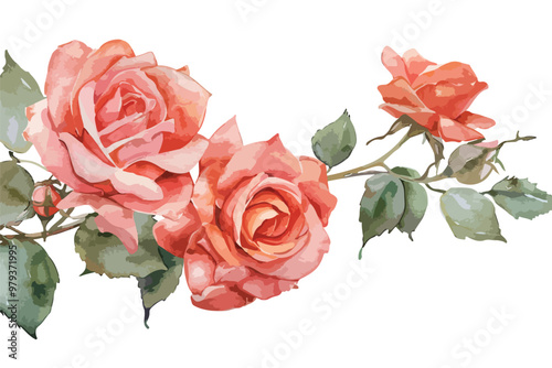 Elegant Watercolor Roses Card Template Single Clipart Isolate