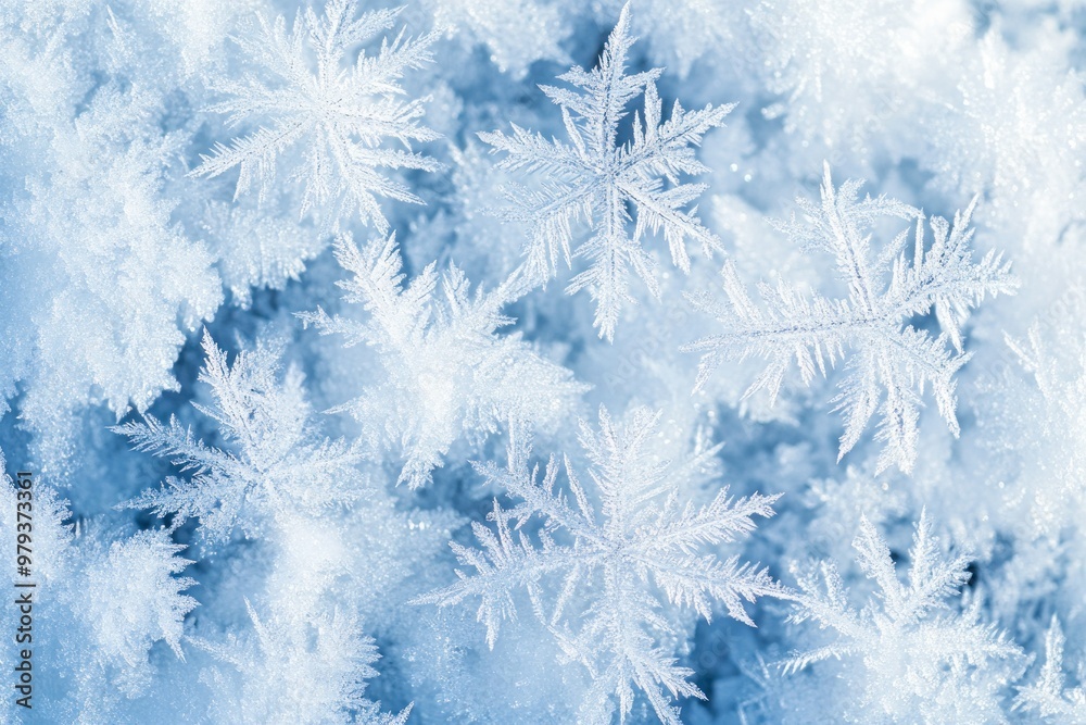 Detailed Close-Up of Delicate Snowflakes on a Snowy Surface