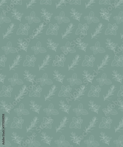 Set piante aromatiche. Cucina italiana mediterranea. Salvia, menta, basilico, salvia. Texture naturale.