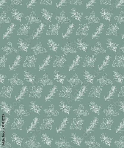 Set piante aromatiche. Cucina italiana mediterranea. Salvia, menta, basilico, salvia. Texture naturale.