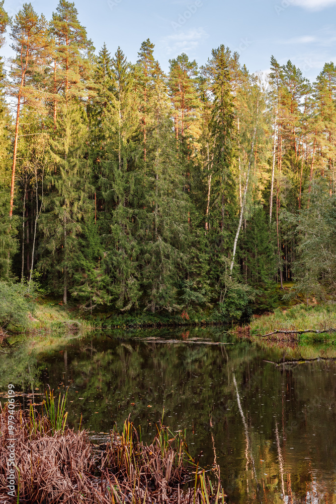 Brasla river, Latvia in September Brasla river, Latvia in September