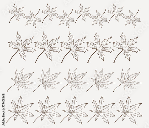Vector decorative borders with hand-drawn maple leaves. Elegant dividers for decoration with botanical elements in sketch style
