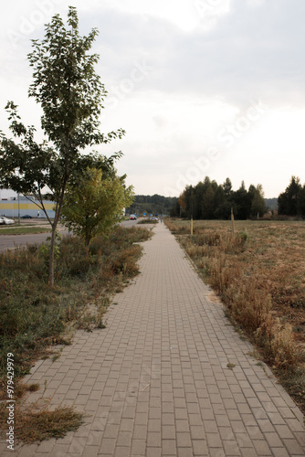 path in the countryside cloudy weather