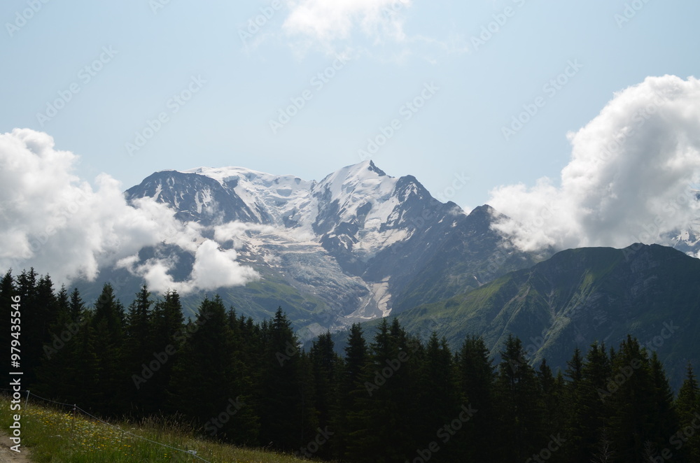 Fototapeta premium Chamonix