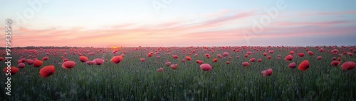 A field of poppies at dawn, the sky painted with soft pastel colors, symbolizing the calm and serenity of new beginnings