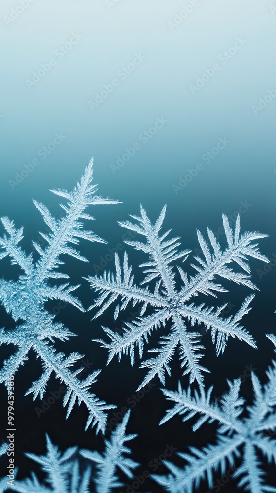 Close-up of beautiful snowflakes on a soft blue background, showcasing intricate patterns and unique designs in winter's elegance. Close-up of beautiful snowflakes on a soft blue background, showcasing intricate patterns and unique designs in winter's elegance.