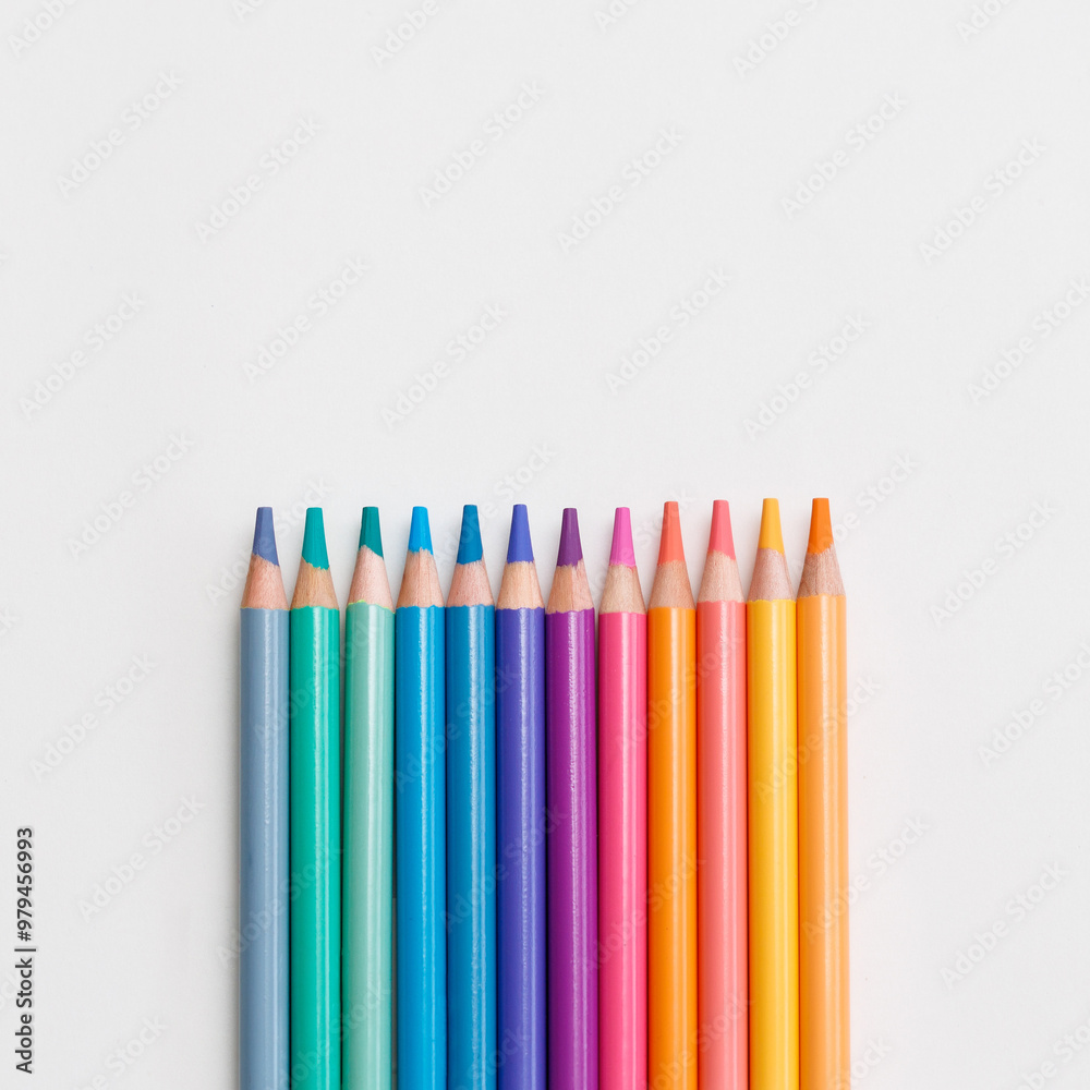 multicolored pencils on a white background multicolored pencils on a white background
