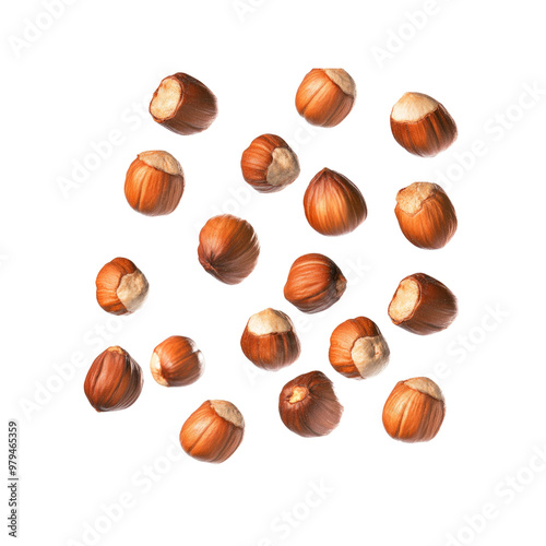 Falling Hazelnuts Isolated on White Background