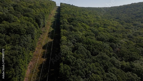 Electric lines and power towers crossing mountain top in remote wilderness in nature outdoors Allegheny Forest Pennsylvania from Kinzua Dam photo