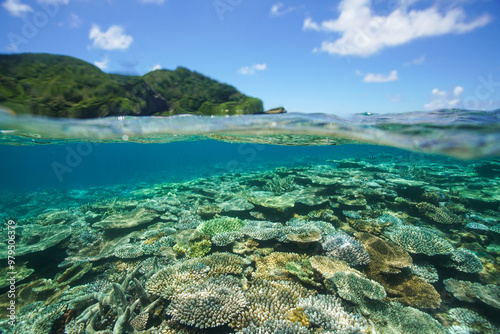 Beautiful coral reef underwater Okinawa in Japan