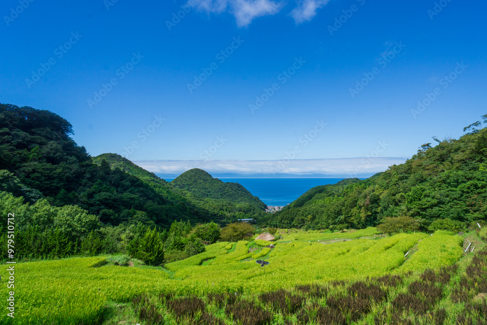 Fototapeta premium 山の棚田 伊豆松崎