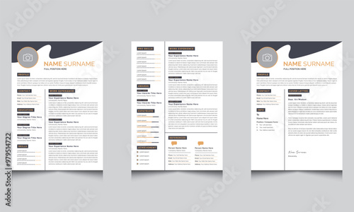 Clean Professional cv Design Modern Resume Layout
