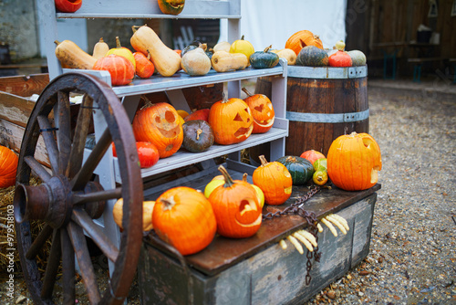 Many Halloween pumpkins on display at the farmers market in France. Variety of ornamental pumpkins for sale.