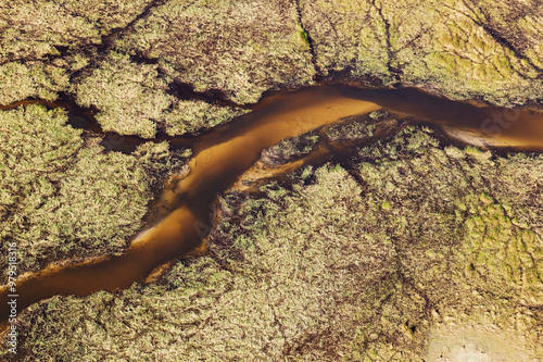 Aerial view of The Gomoti River with its channels, islands and adjoining freshwater marshland, Okavango Delta, Moremi Game Reserve, Botswana. photo