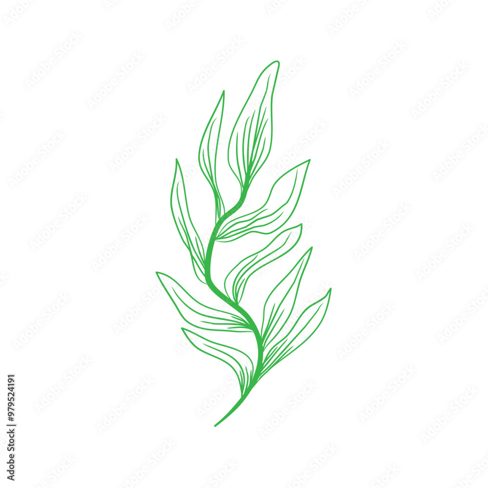 green leaves isolated on white green leaves isolated on white