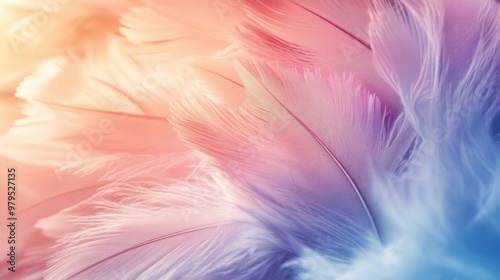 Soft pastel feathers in warm, soothing colors creating a gentle and calming atmosphere