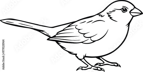 Robin with a Round Body Sitting: Fun and Easy Vector for Coloring Books
