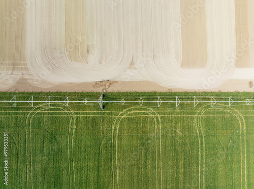 Aerial view of Adjoining fields. One irrigated and with crop. The other one about to be seeded. Aerial view. Drone shot. Cádiz province, Andalusia, Spain. photo