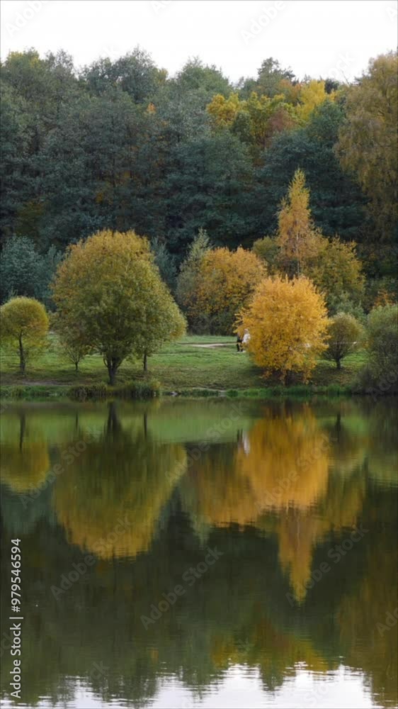 Lake Surface With Fall Trees Reflection. Vertical. Lake Surface With Fall Trees Reflection. Vertical.