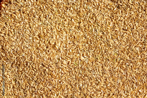 籾殻 rice hulls
