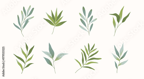 Vector set of green summer and spring branches and leaves.Simple elements for botany emblem design.Organic logo templates.Hand drawn floral illustrations for prints,flyers,banners,invitations,branding