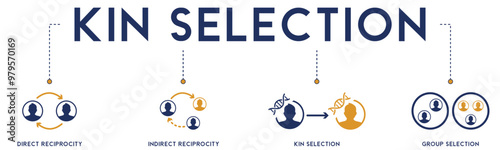 Kin Selection banner website icons vector illustration concept of with icons of direct reciprocity, indirect reciprocity, kin selection, group selection on white background