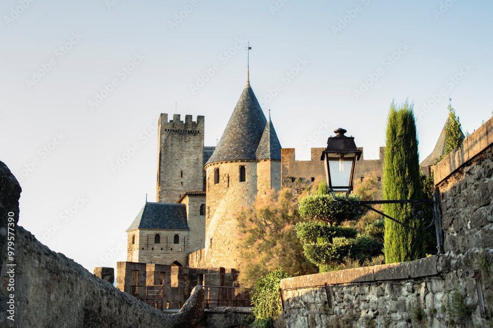 Fototapeta premium La cité de Carcassonne en Occitanie France