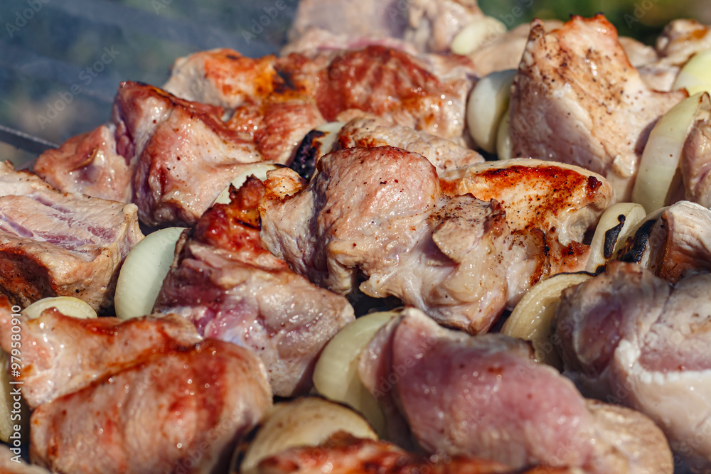 Delicious pork shashlik is cooked on the grill. Delicious pork shashlik is cooked on the grill.