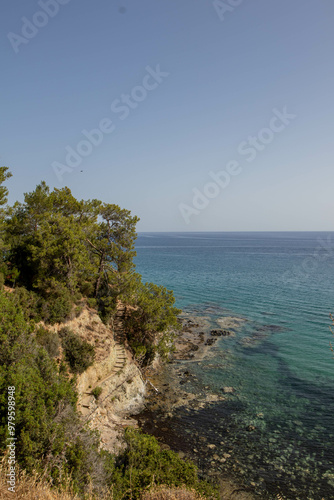 Tropical Rocks, trees and blue ocean landscape