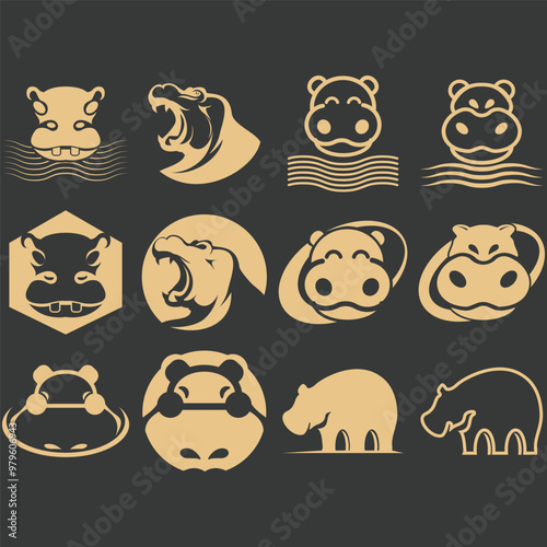 collection of Hippopotamus photo