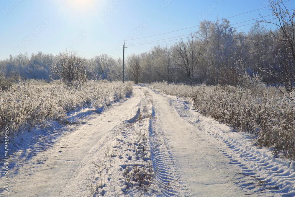 Snow covered forest country road on a winter sunny day Snow covered forest country road on a winter sunny day