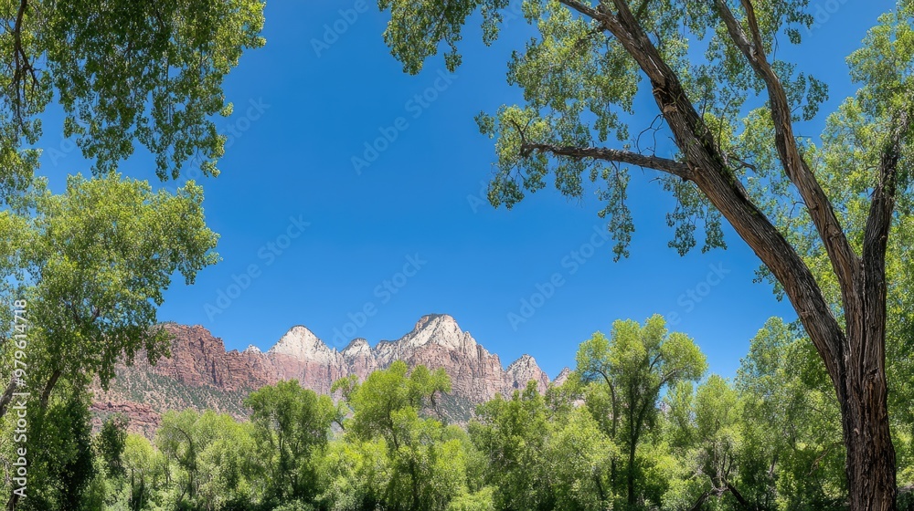 The vibrant landscape of l Park showcases towering red sandstone mountains in the background, complemented by lush green trees and a clear blue sky overhead The vibrant landscape of l Park showcases towering red sandstone mountains in the background, complemented by lush green trees and a clear blue sky overhead