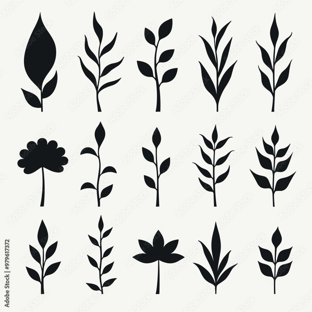 Silhouettes of various plant leaves in black on a white background. Silhouettes of various plant leaves in black on a white background.