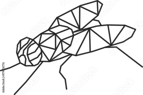 Fly. fly geometry vector. fly geometric design