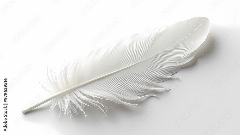 White Feather Isolated on Black Background PNG
