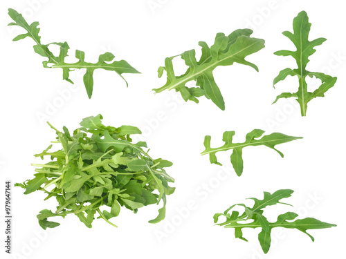 A collection of fresh arugula leaves arranged on a transparent background, png, ideal for healthy food concepts, salads, and organic meal visuals