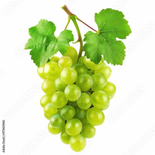 A bunch of grape fruit isolated over white background