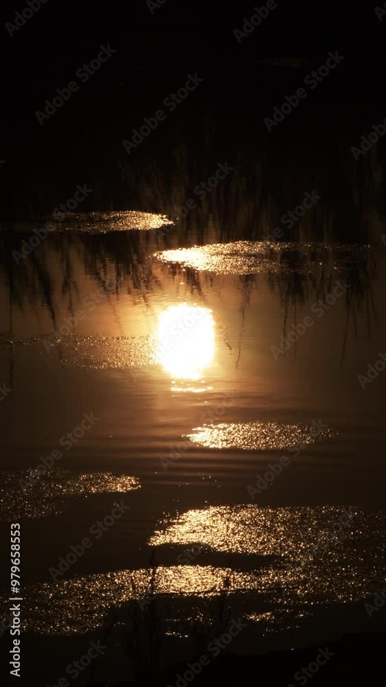 Surface of a river with the sun reflected at sunset Surface of a river with the sun reflected at sunset