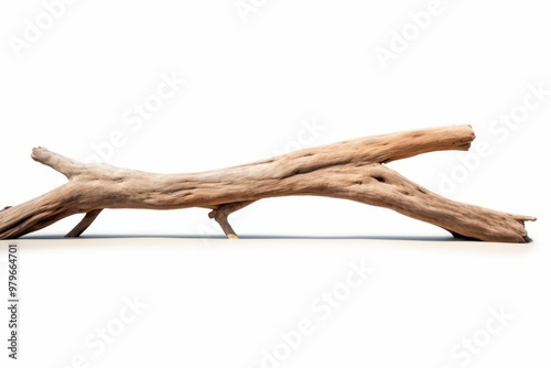 a driftwood branch on a white background photo