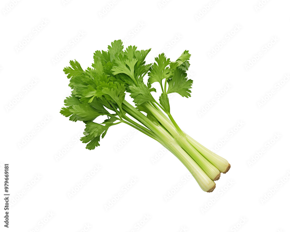 Fresh green celery stalks with leaves, vibrant and healthy produce for food blogs, recipes, nutrition articles, or farm market promotions. Generative AI Fresh green celery stalks with leaves, vibrant and healthy produce for food blogs, recipes, nutrition articles, or farm market promotions. Generative AI
