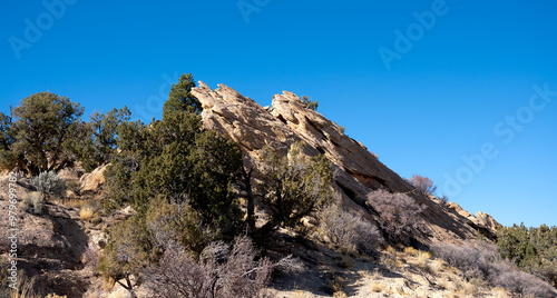 A small thrust fault on the Notom-Bullfrog Road through Capitol Reef National Park.