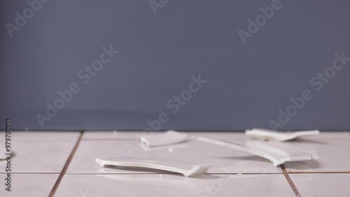 Ceramic plate hitting the floor breaking to pieces